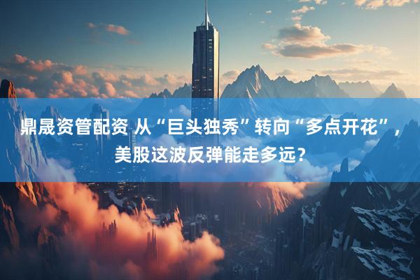 鼎晟资管配资 从“巨头独秀”转向“多点开花”，美股这波反弹能走多远？