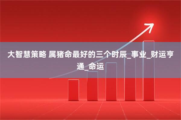 大智慧策略 属猪命最好的三个时辰_事业_财运亨通_命运