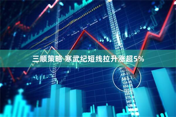 三顺策略 寒武纪短线拉升涨超5%
