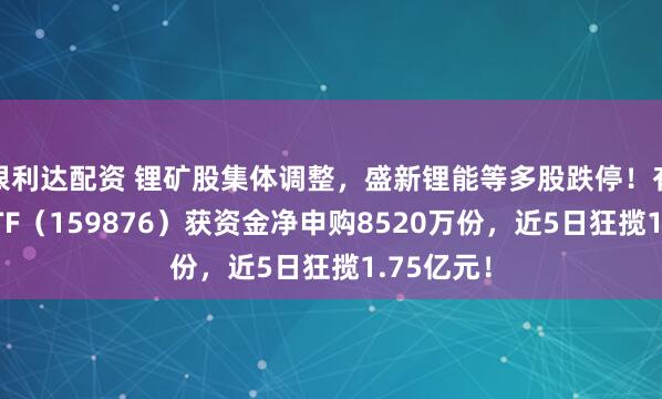 银利达配资 锂矿股集体调整，盛新锂能等多股跌停！有色龙头ETF（159876）获资金净申购8520万份，近5日狂揽1.75亿元！