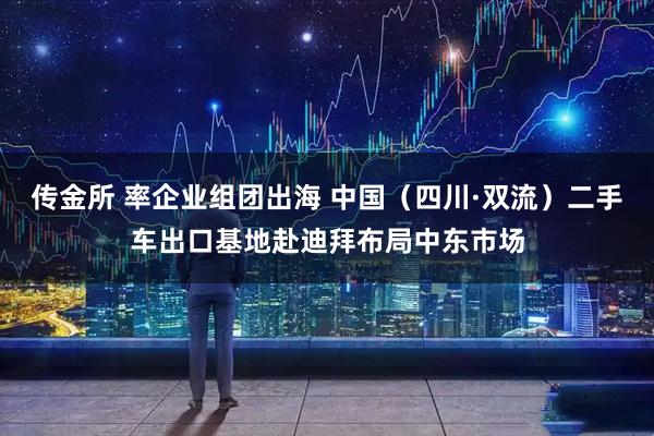 传金所 率企业组团出海 中国（四川·双流）二手车出口基地赴迪拜布局中东市场