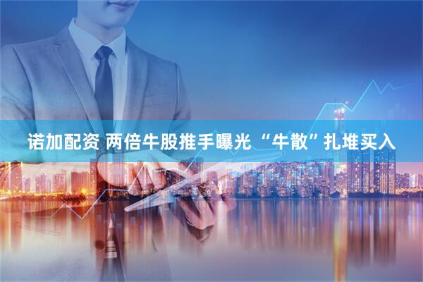 诺加配资 两倍牛股推手曝光 “牛散”扎堆买入