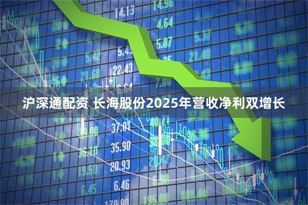 沪深通配资 长海股份2025年营收净利双增长