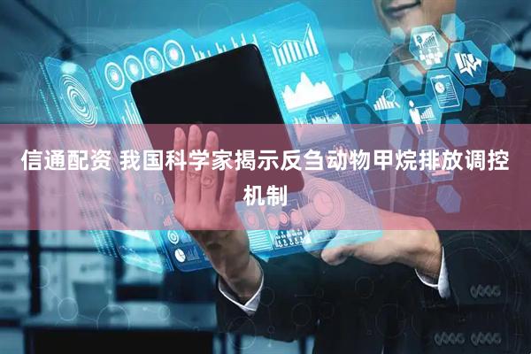 信通配资 我国科学家揭示反刍动物甲烷排放调控机制